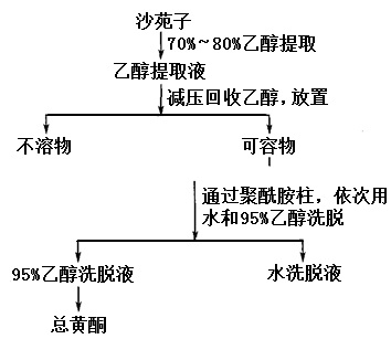 沙苑子黄酮的提取分离